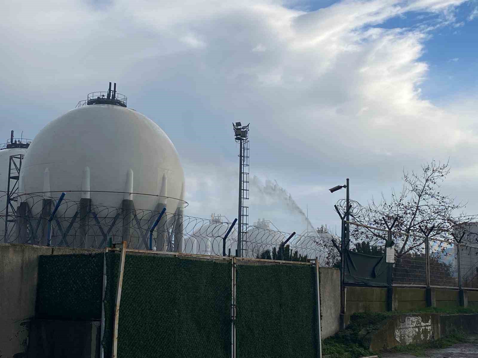 20241210aw347517 0.jpg