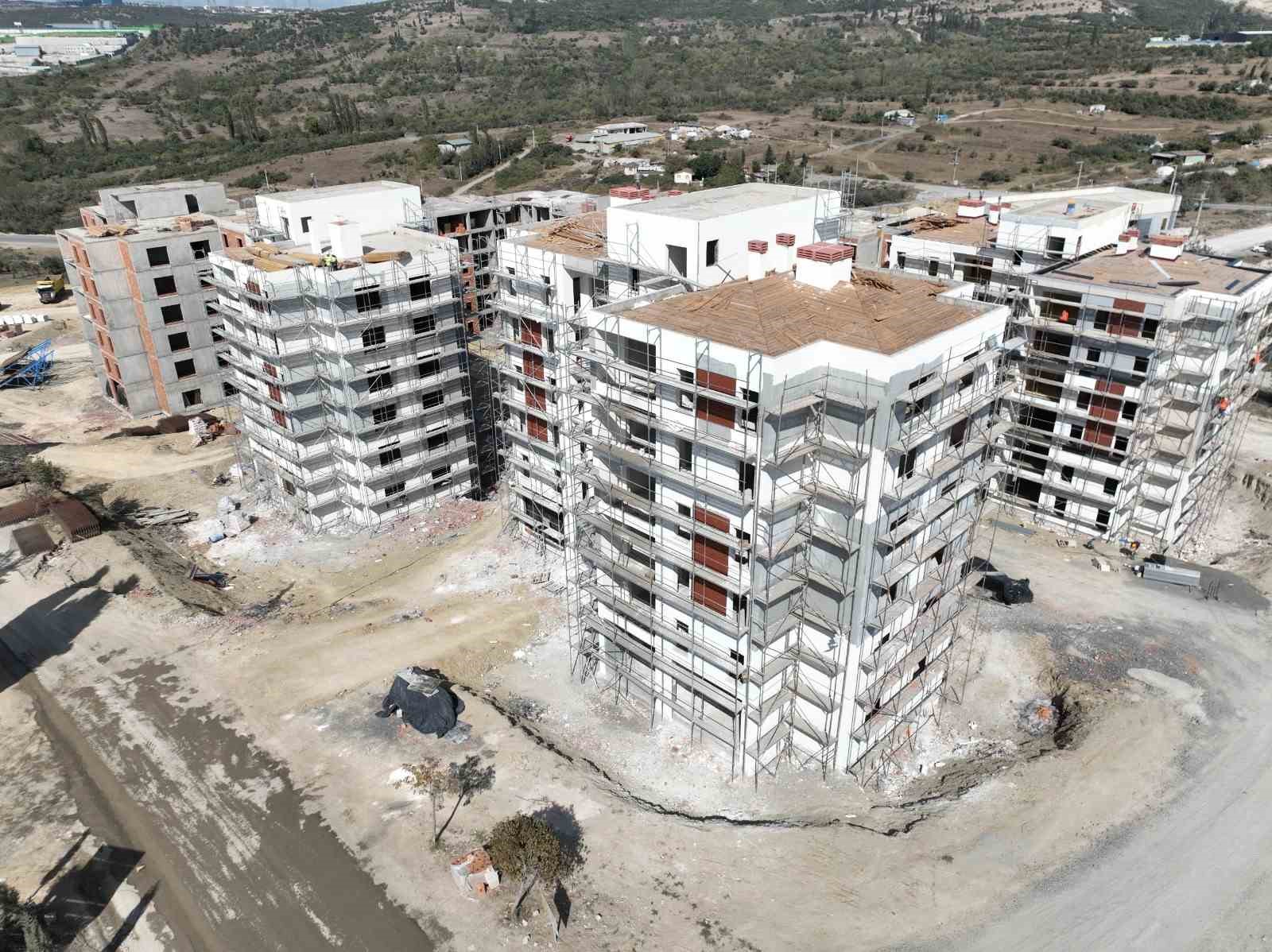 20241216aw351439 0.jpg