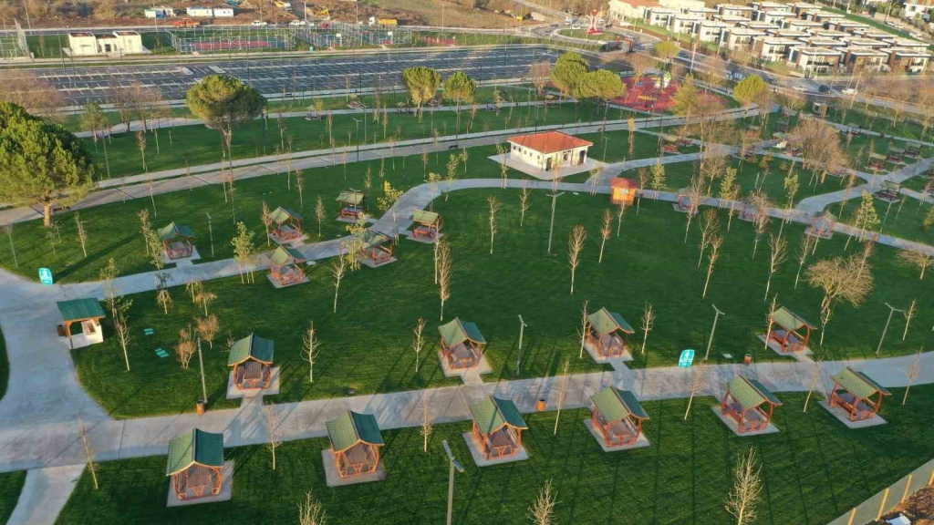 20241218aw352841 0.jpg