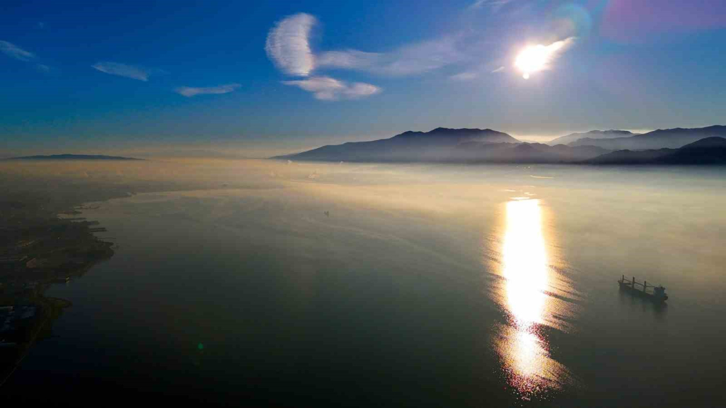 20241219aw353317 0.jpg