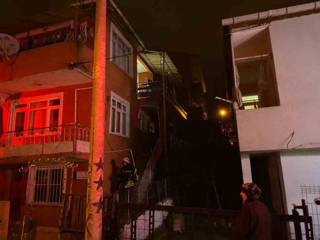 20241230aw361063 0.jpg