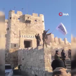 71c599ca aea3 4c2e 9f68 36ff3118b559 frame at 0m11s 1732970141.jpg