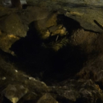 aw354706 01 1734762858.jpg