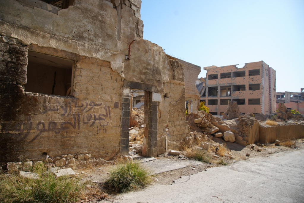 aw360204 06 1735473759.jpg