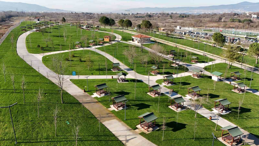 20250103aw363393 0.jpg