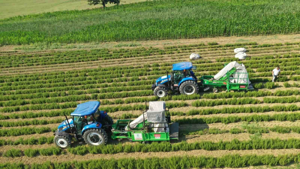 20250113aw369187 0.jpg