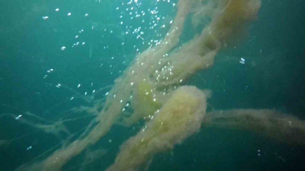 20250126aw377946 0.jpg