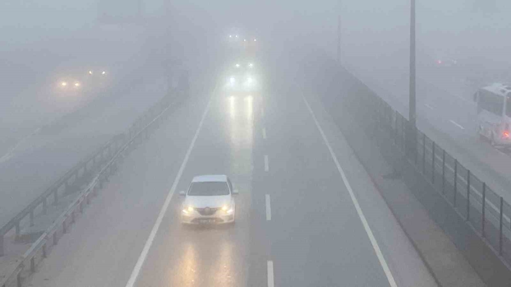 20250127aw378419 0.jpg