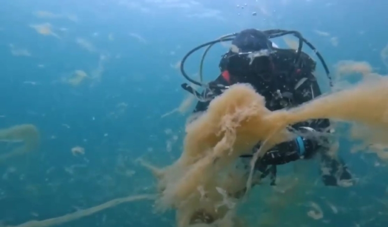 aw373541 03 1737286933.jpg