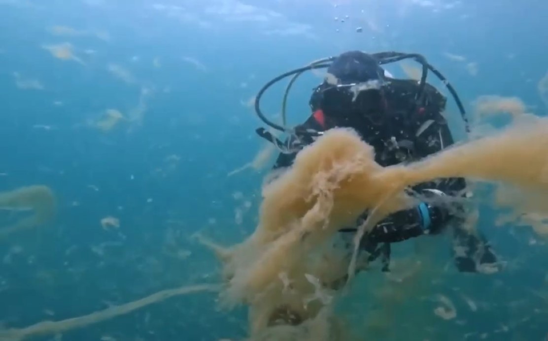 aw373541 03 1737286933.jpg