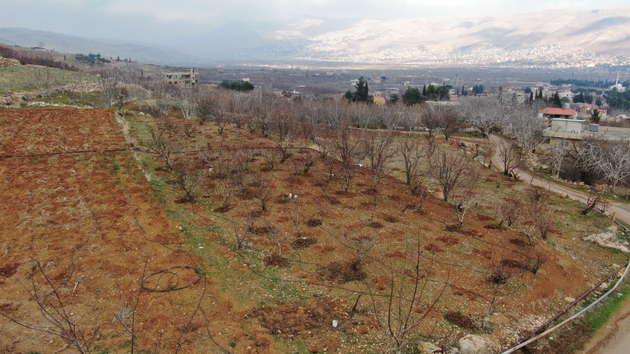 aw378094 01 1737891481.jpg