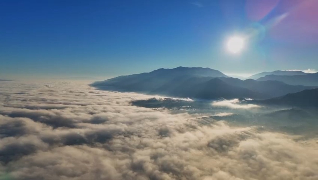 aw378567 01 1737971000.jpg