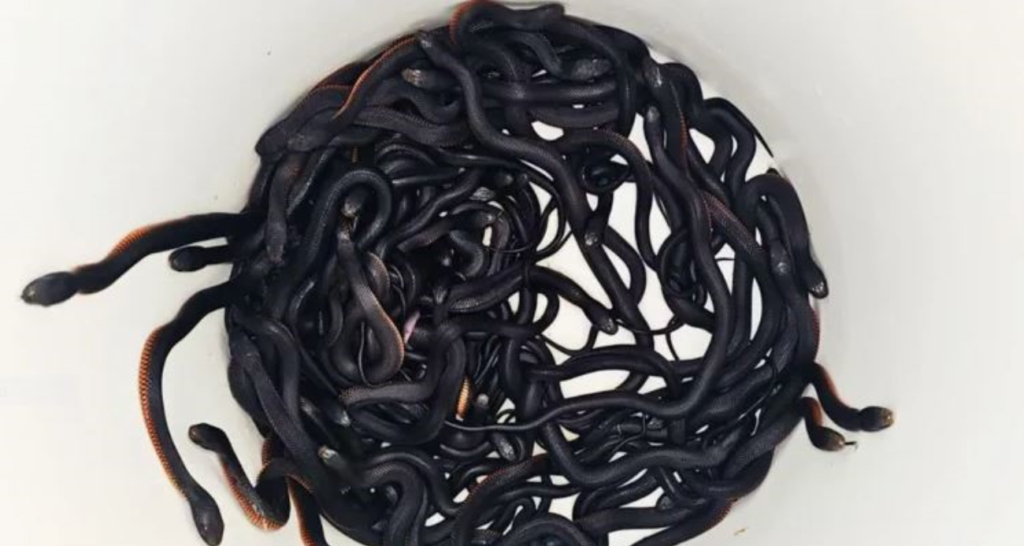 1738956606 yeni proje 47.jpg