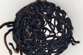 1738956606 yeni proje 47.jpg