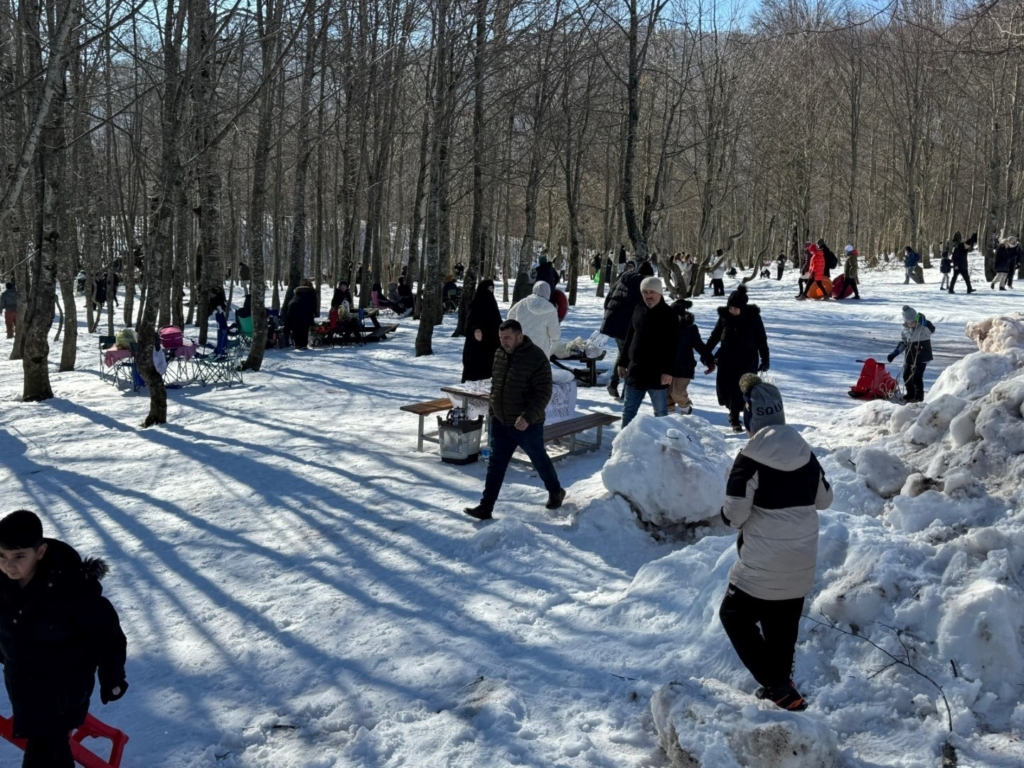 20250201aw381935 0.jpg