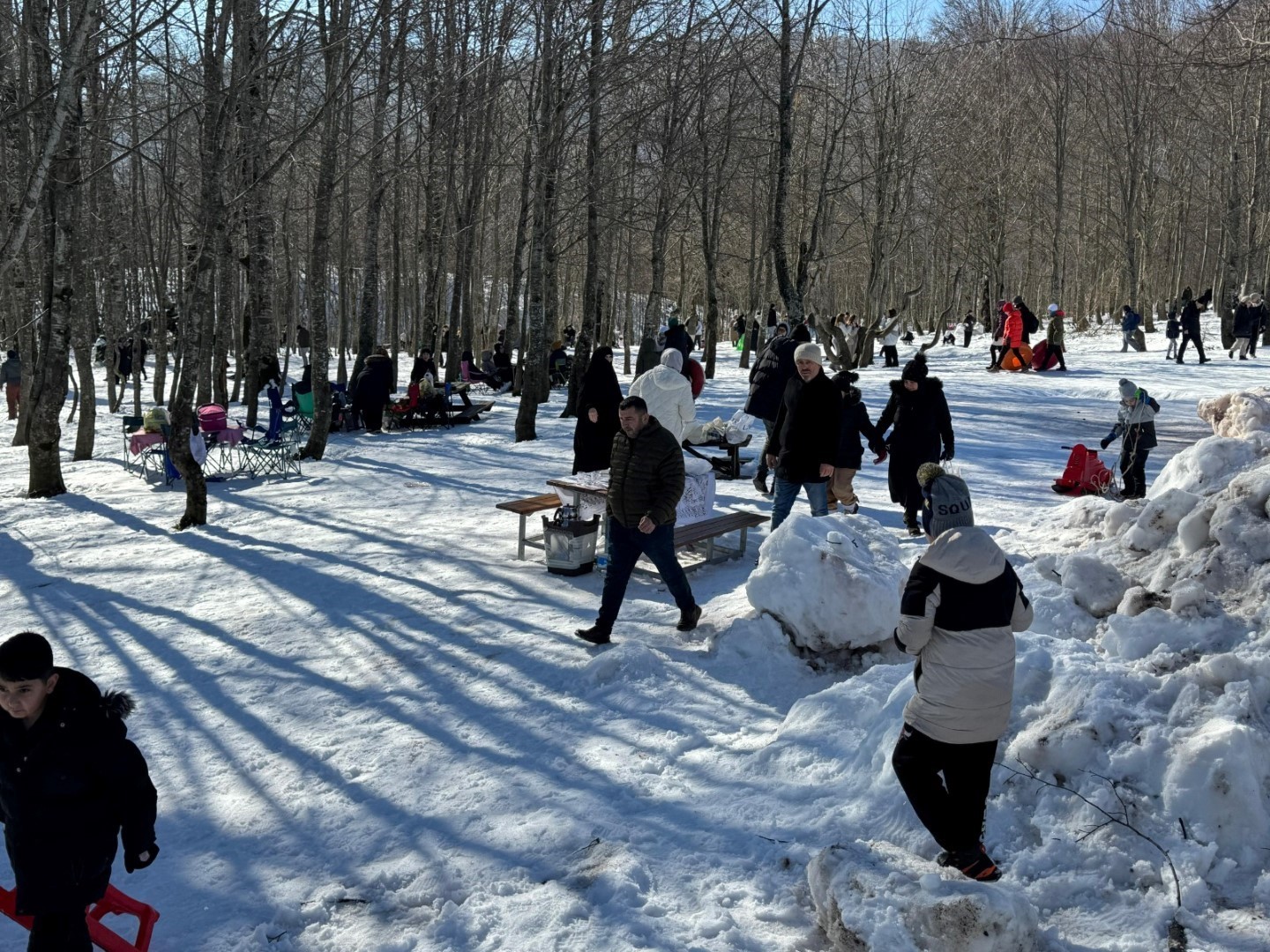 20250201aw381935 0.jpg