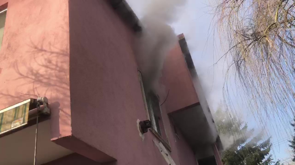 20250201aw382101 0.jpg