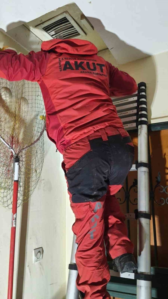 20250201aw382319 0.jpg