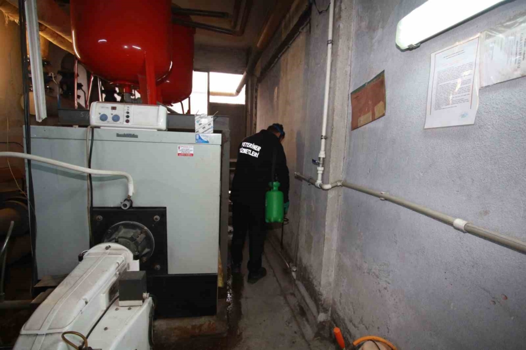 20250202aw382482 0.jpg