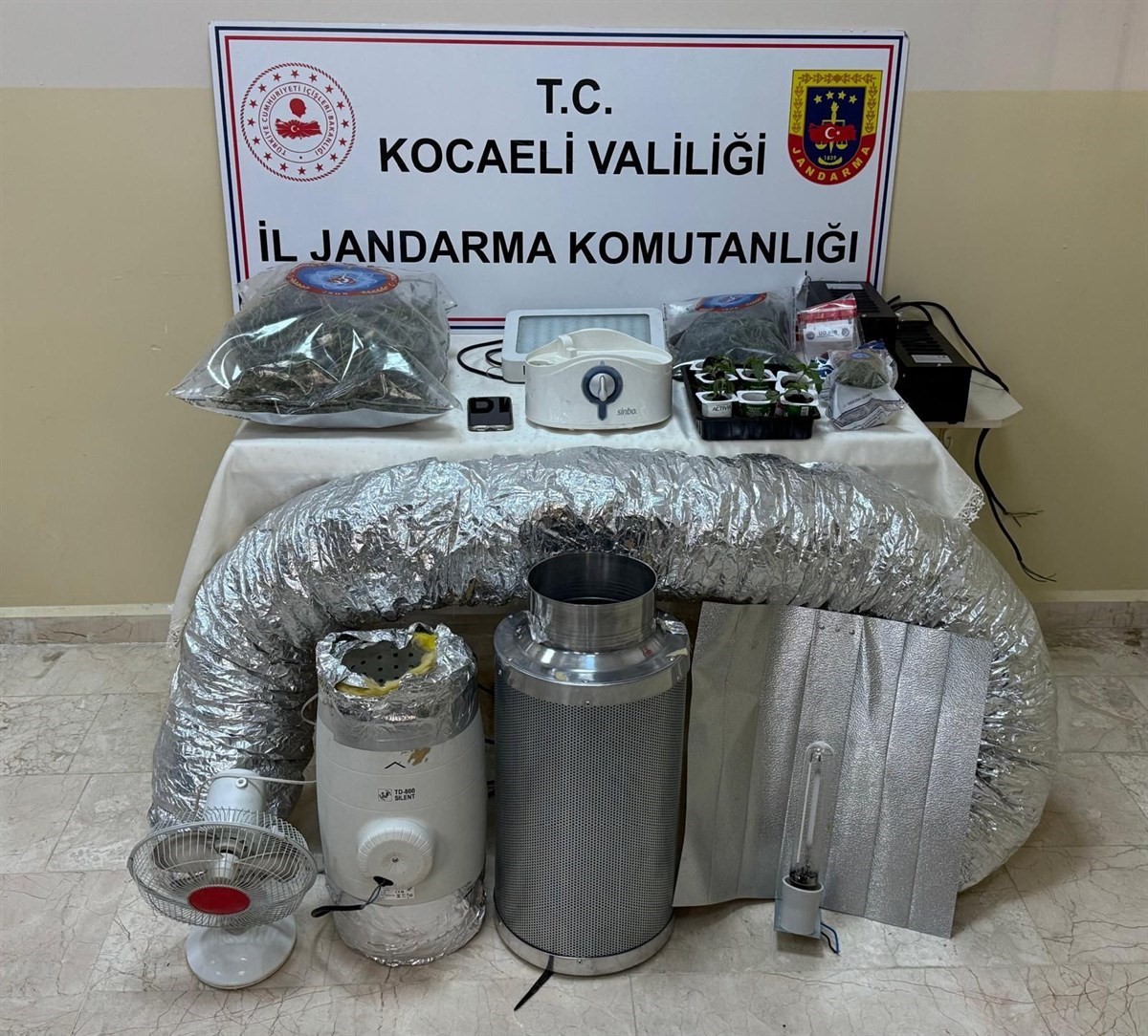 20250206aw386089 0.jpg