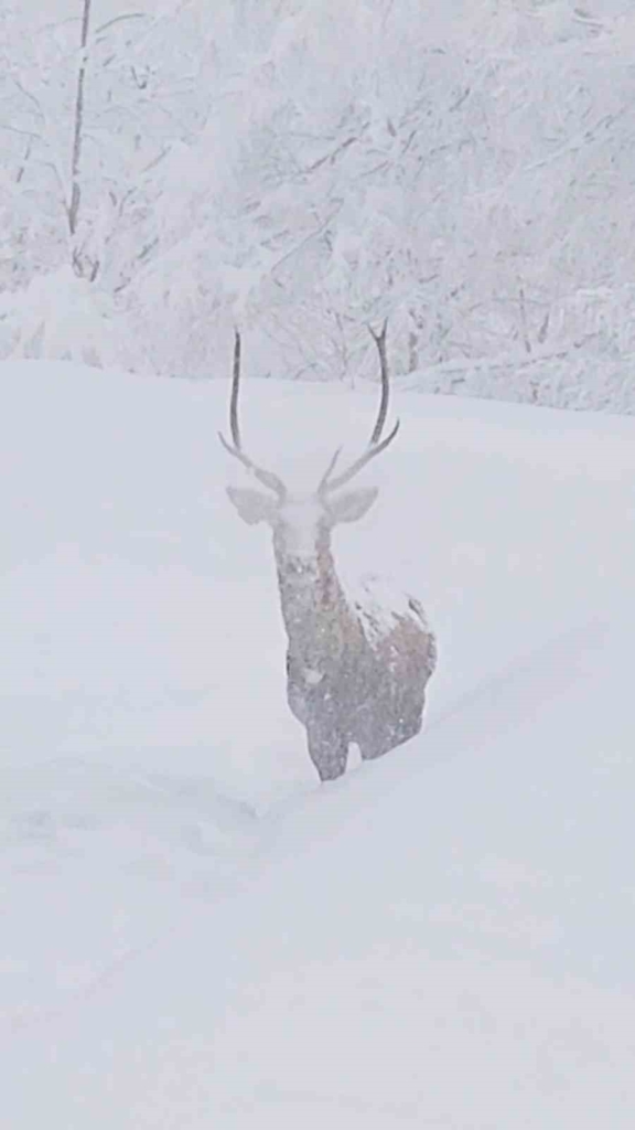 20250209aw387729 0.jpg