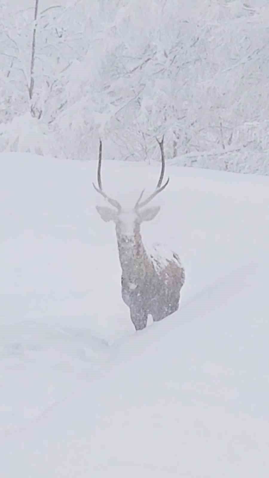 20250209aw387729 0.jpg