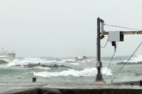 aw381904 01 1738418813.jpg