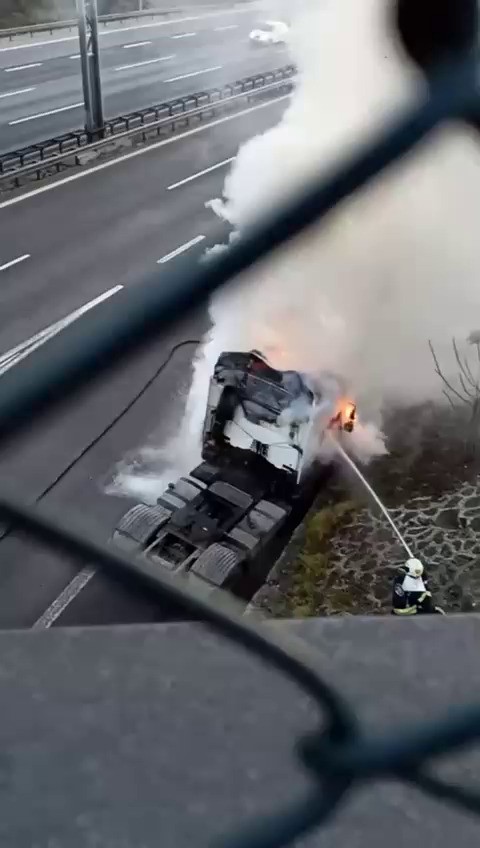 20250308aw408126 0.jpg