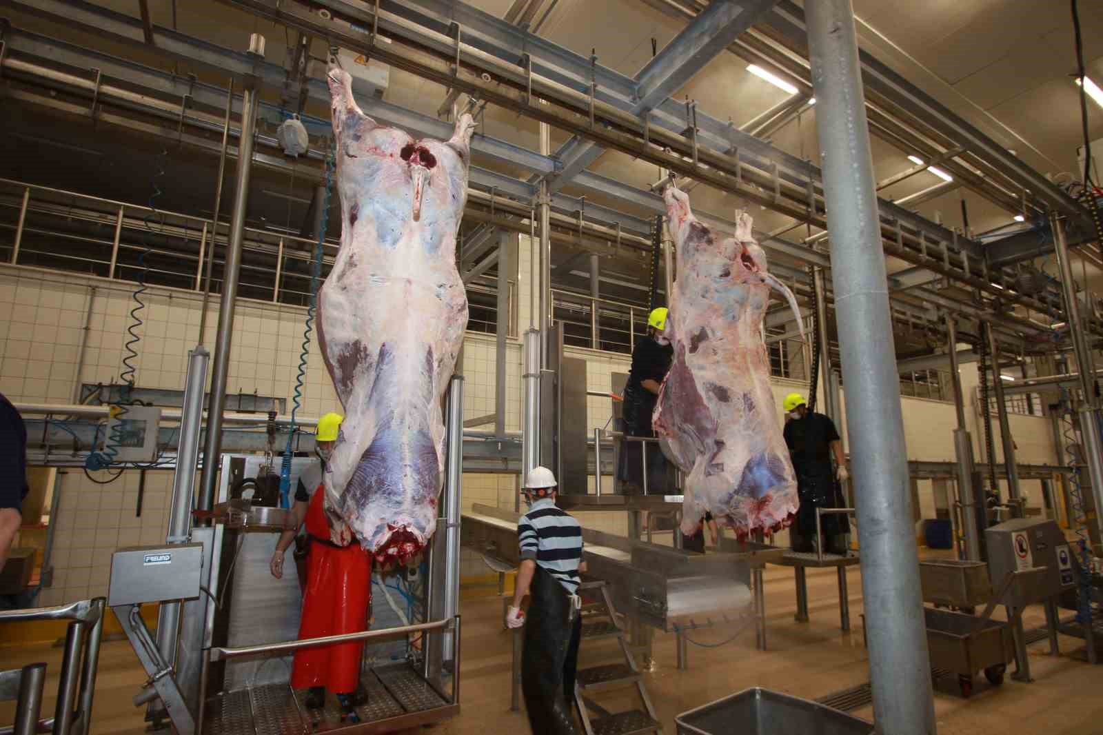 20250310aw409157 0.jpg