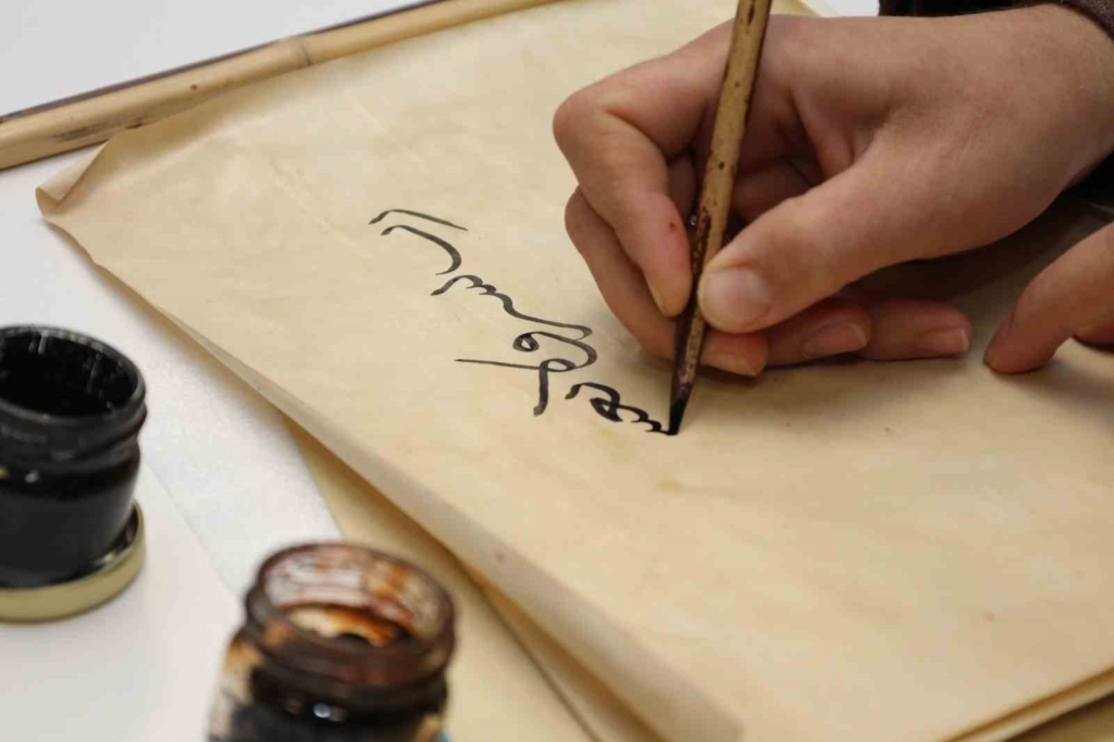 20250310aw409192 0.jpg