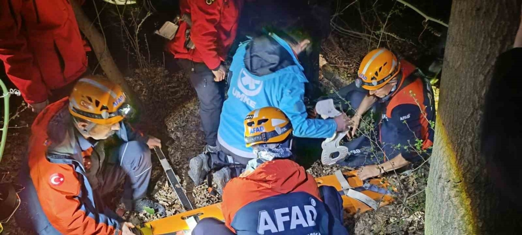 20250314aw412428 0.jpg