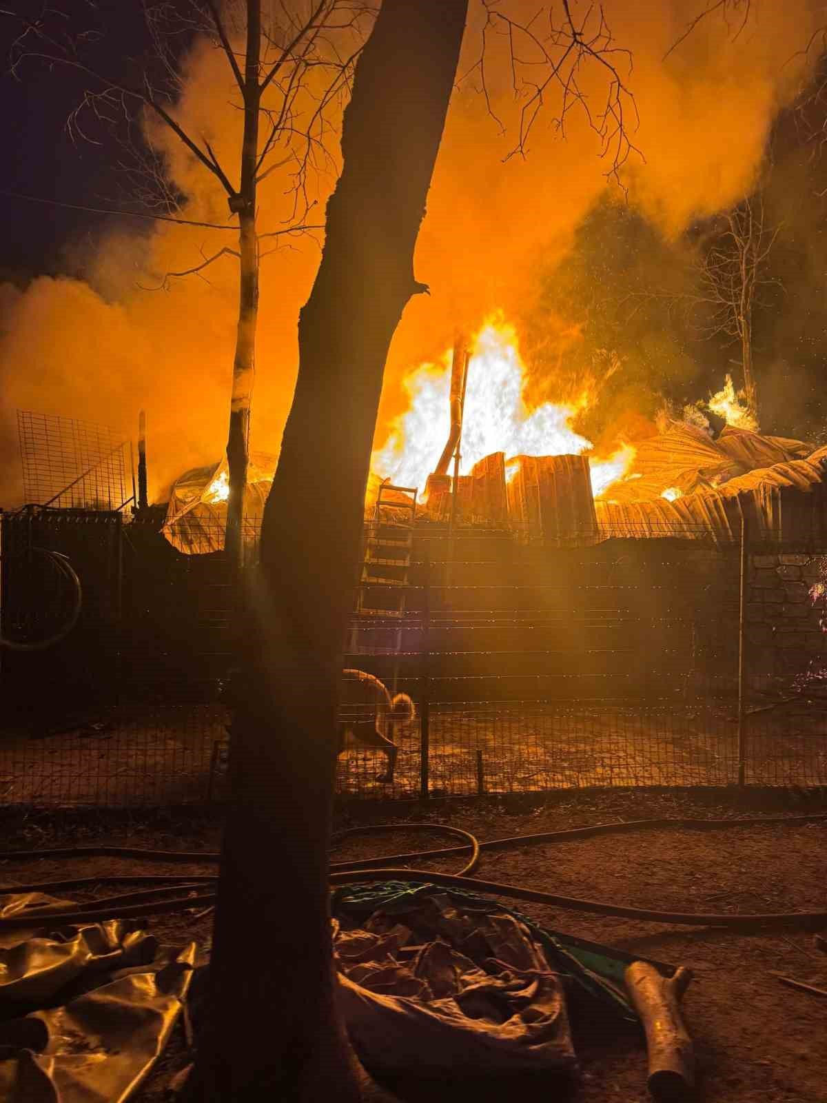 20250315aw412764 0.jpg