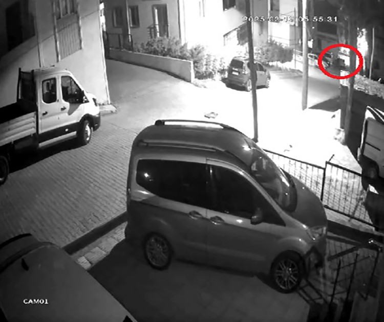 20250317aw414517 0.jpg