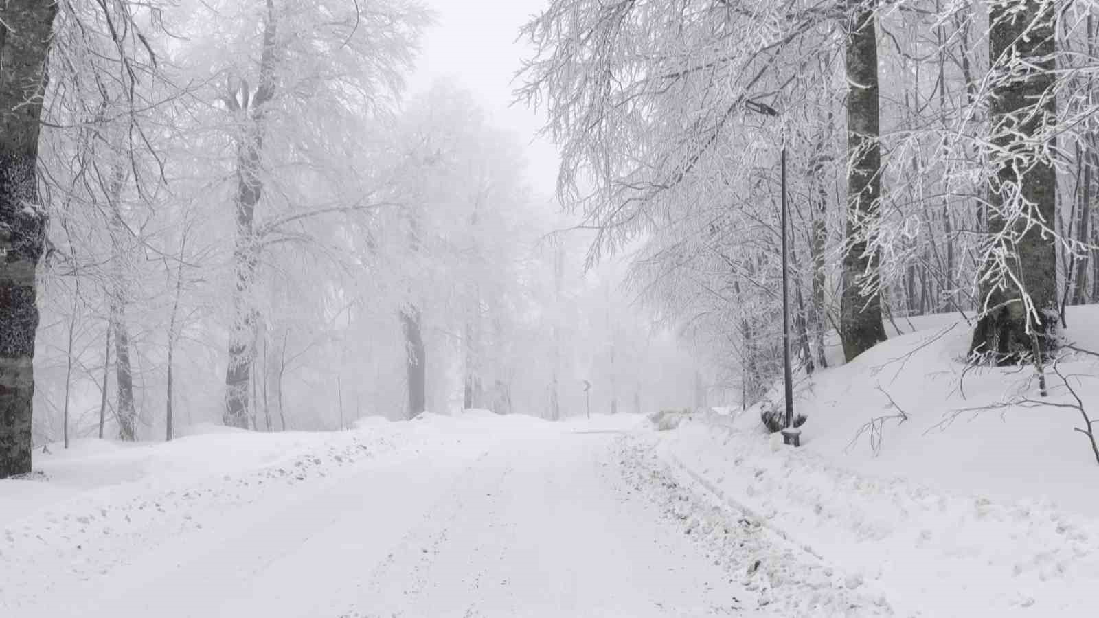 20250319aw415857 0.jpg