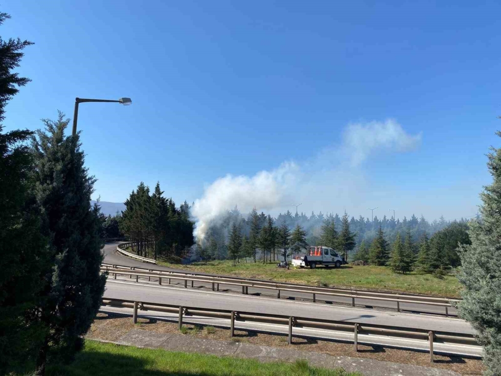 20250322aw418136 0.jpg