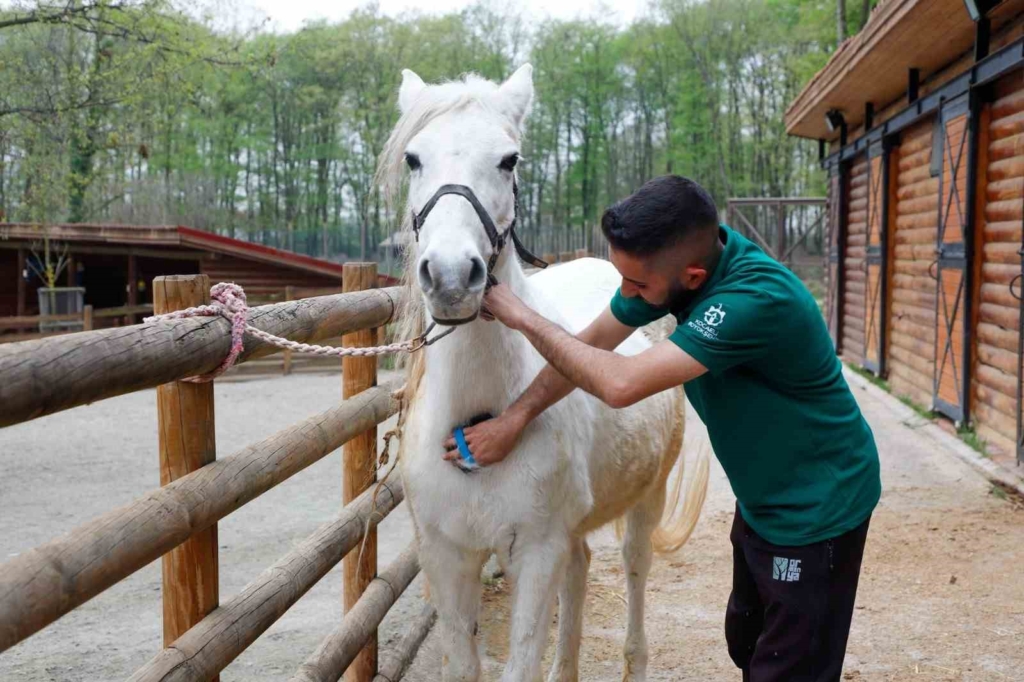 20250329aw422723 0.jpg