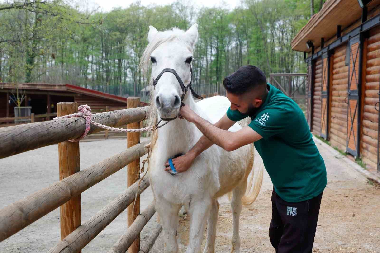 20250329aw422723 0.jpg