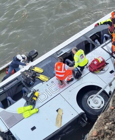 593.jpg