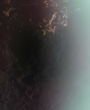 aw403670 02 1740920510.jpg