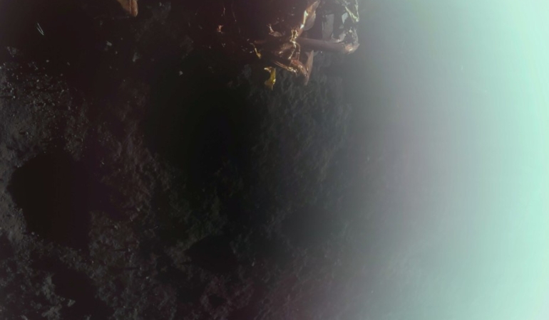 aw403670 02 1740920510.jpg