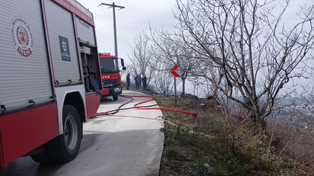 aw413509 04 1742122983.jpg