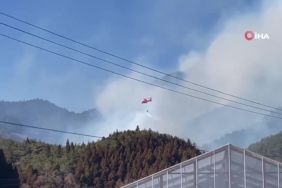 e2928472 39f4 464d a7ff ad5588765c66 frame at 0m30s 1740828275.jpg