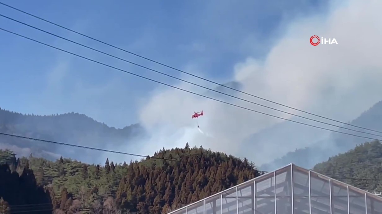 e2928472 39f4 464d a7ff ad5588765c66 frame at 0m30s 1740828275.jpg