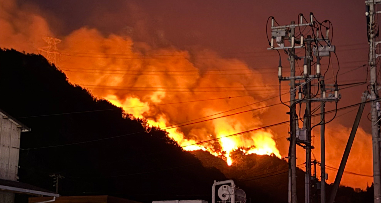 japonya 1742796897.jpg