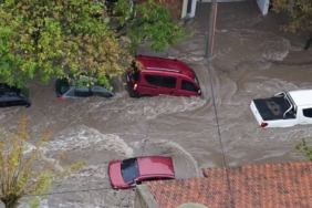 yeni proje 19 1741380857.jpg