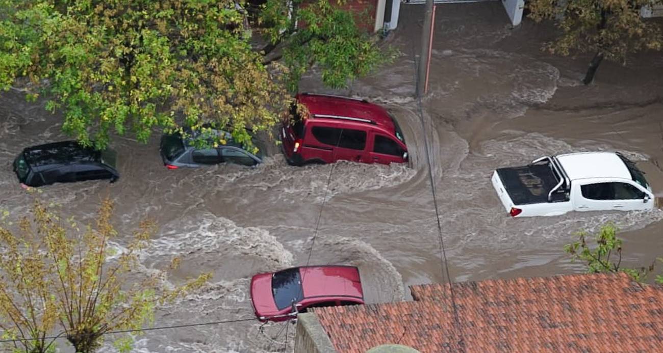 yeni proje 19 1741380857.jpg