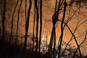 yeni proje 5 1742807788.jpg