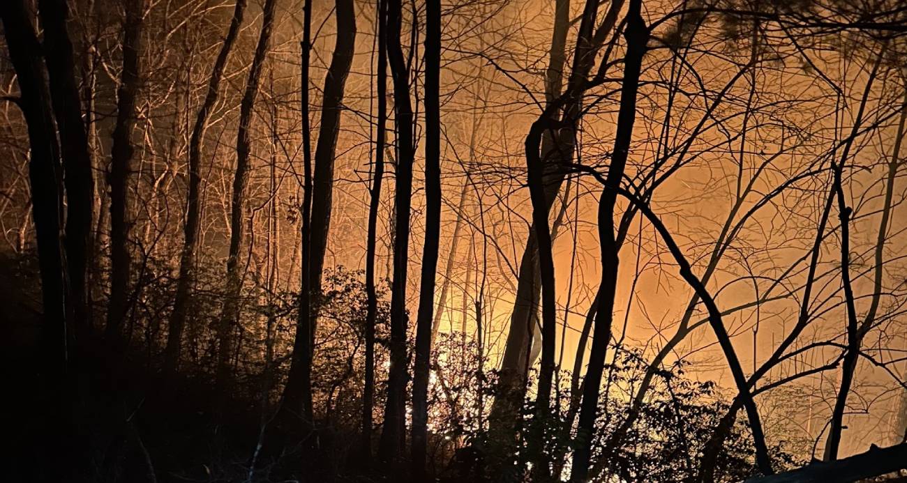 yeni proje 5 1742807788.jpg