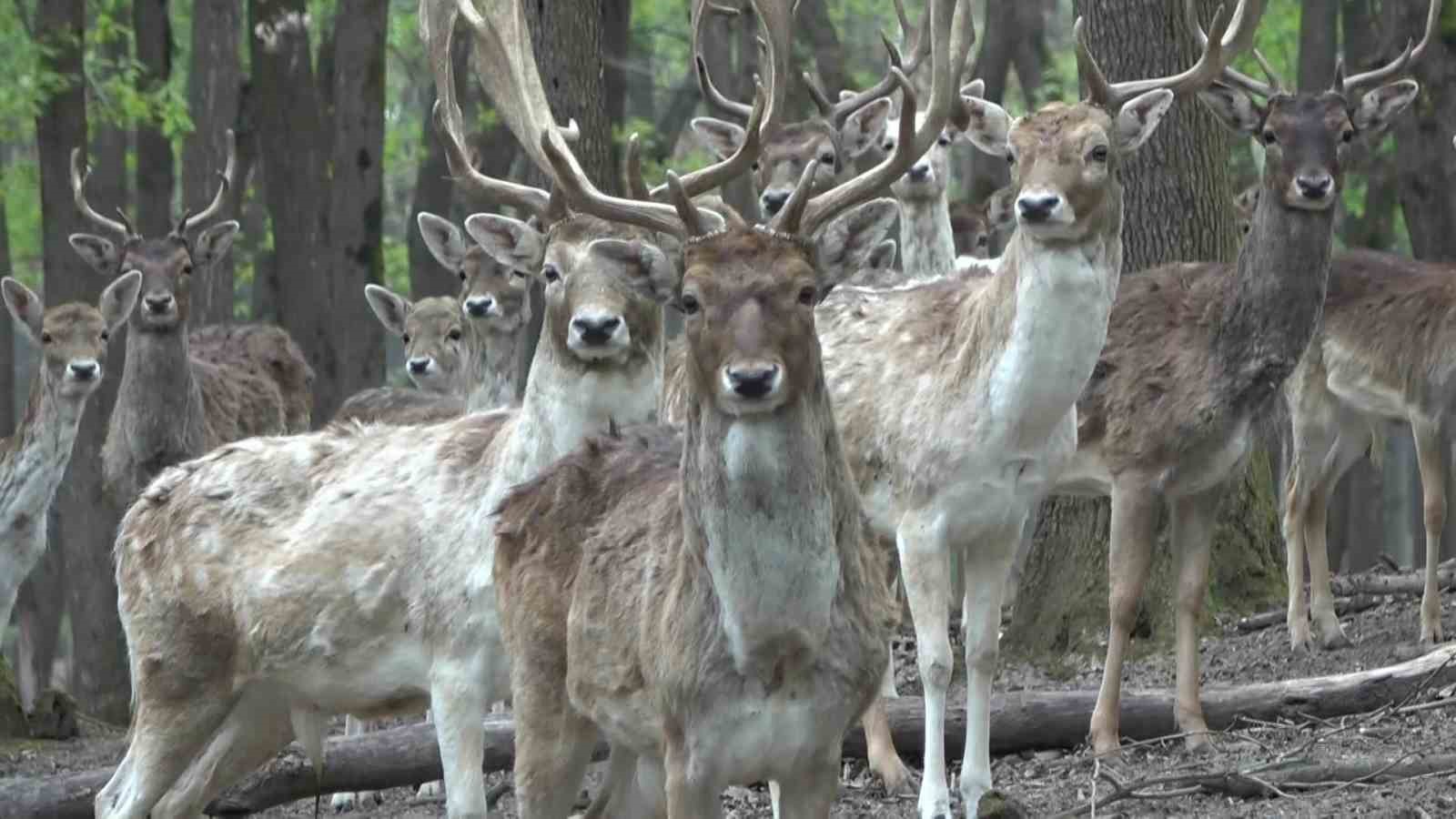 20250401aw424164 0.jpg