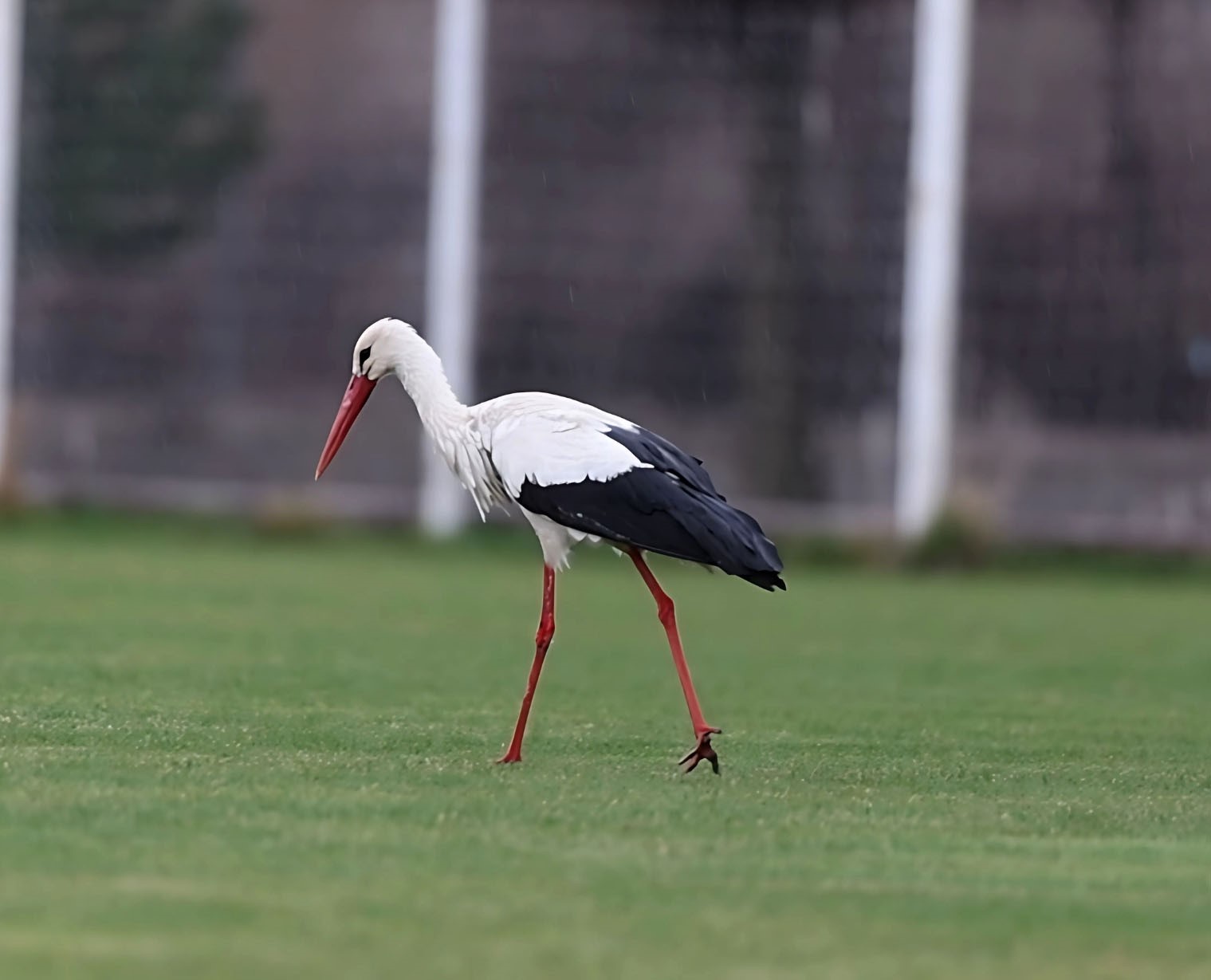 20250402aw424803 0.jpg